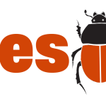 Beetle Bug Info Hub logo