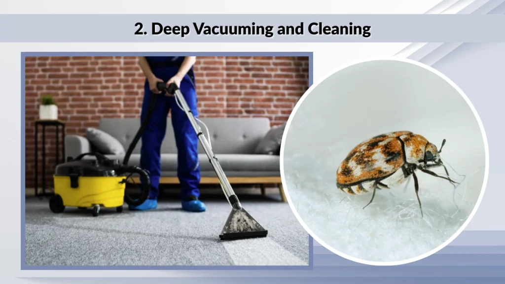 2. Deep Vacuuming and Cleaning