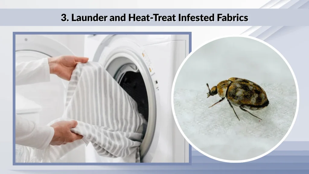 3. Launder and Heat-Treat Infested Fabrics