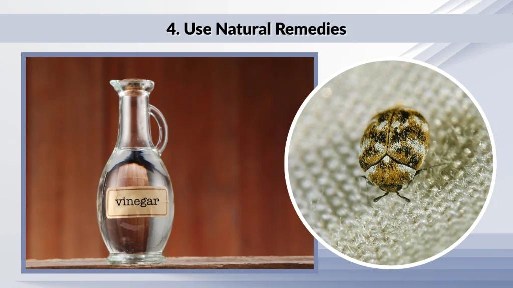 4. Use Natural Remedies