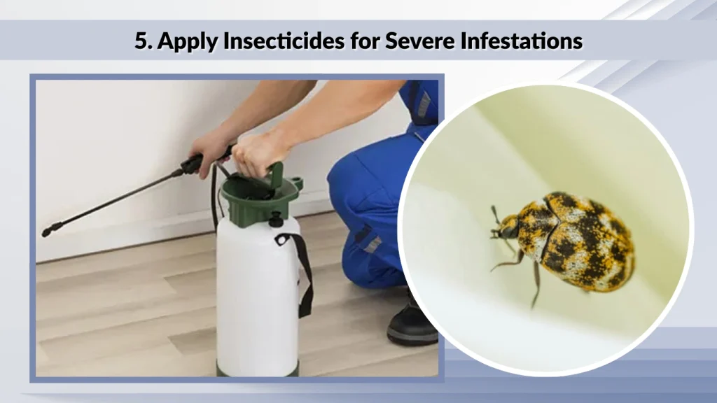 5. Apply Insecticides for Severe Infestations