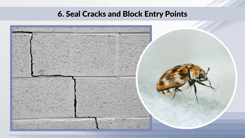 6. Seal Cracks and Block Entry Points