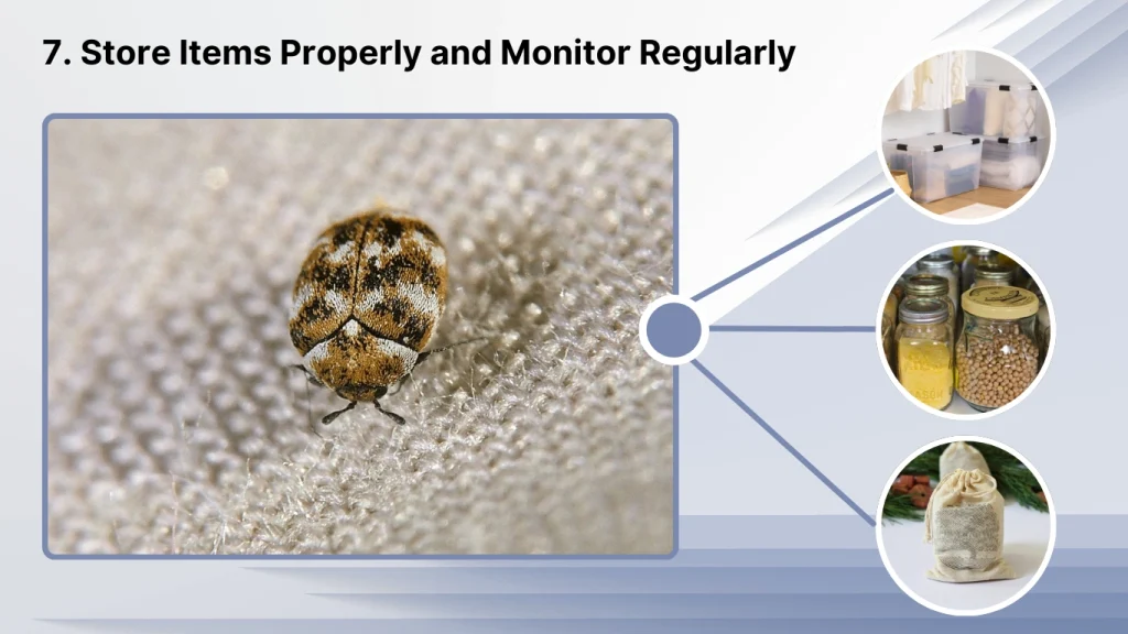 7. Store Items Properly and Monitor Regularly