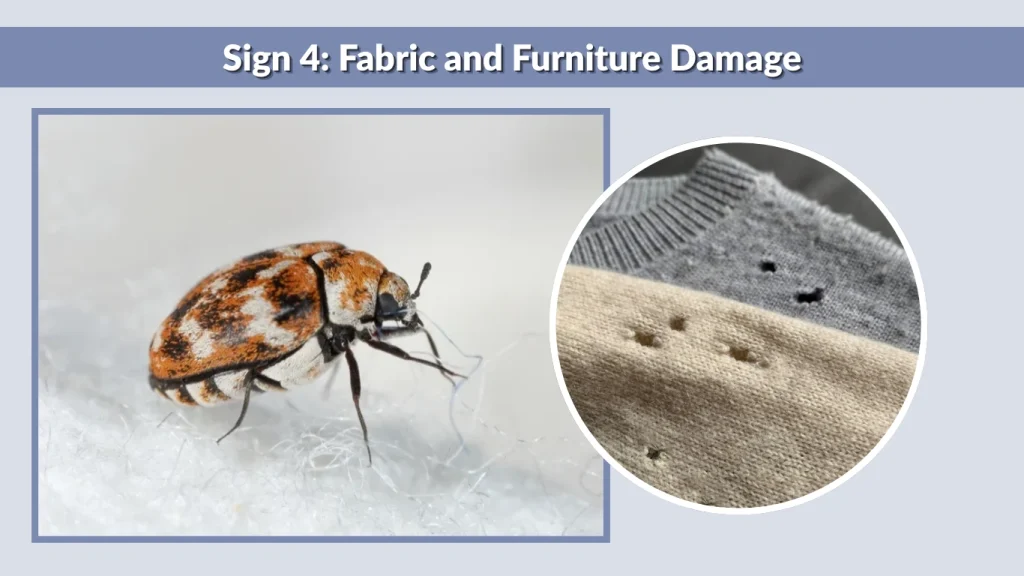 Sign 4 Fabric and Furniture Damage