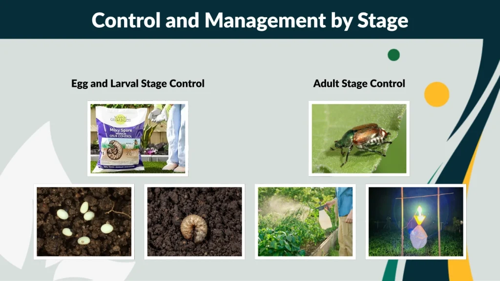 Control and Management by Stage