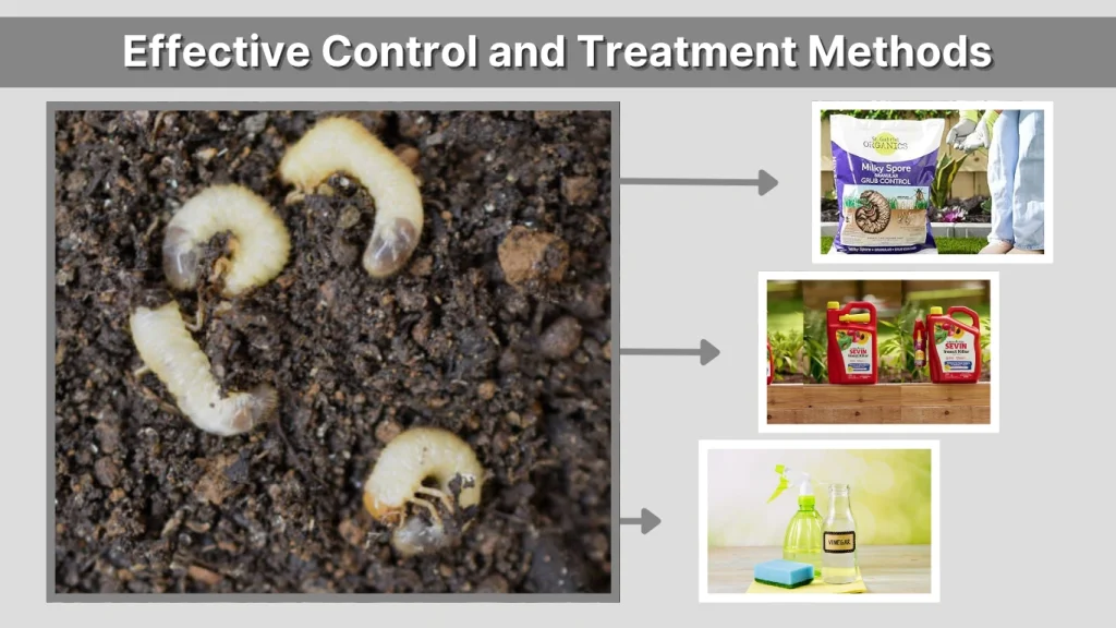Effective Control and Treatment Methods
