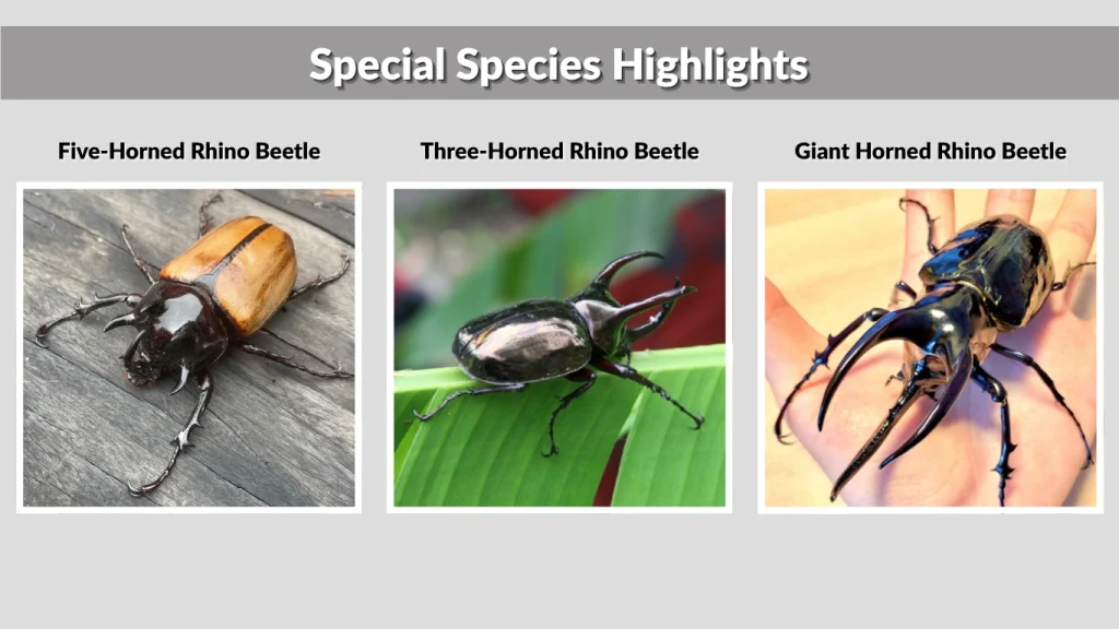 Special Species Highlights