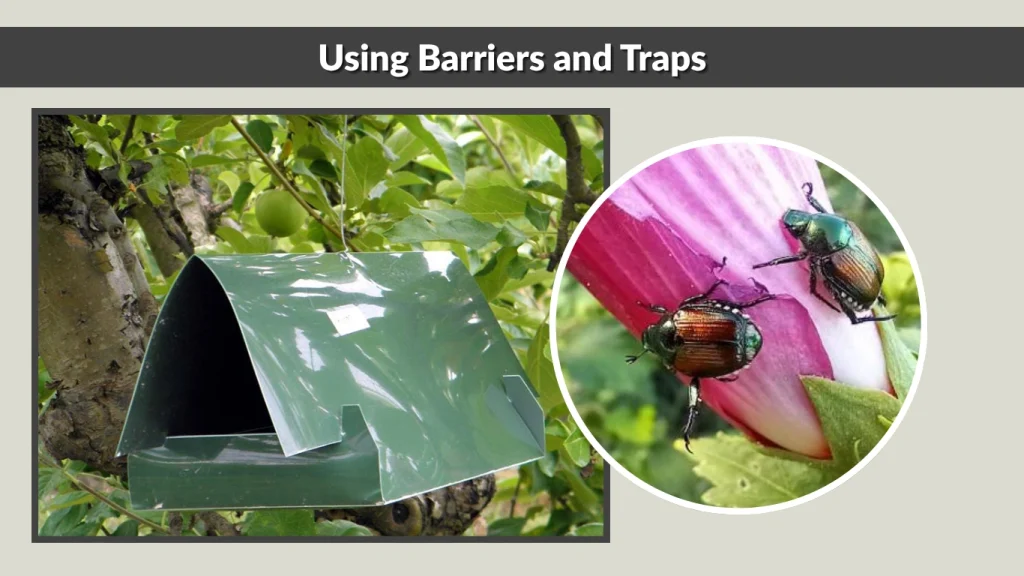 Using Barriers and Traps