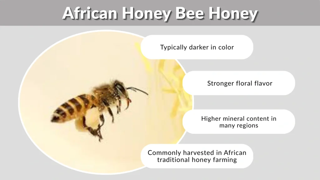African Honey Bee Honey