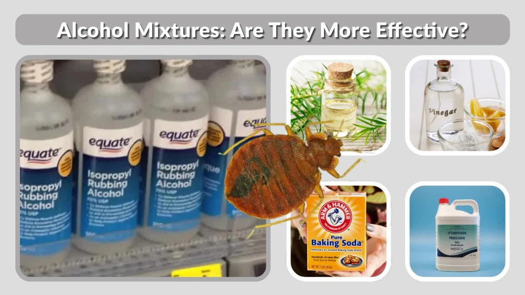 Alcohol Mixtures Are They More Effective