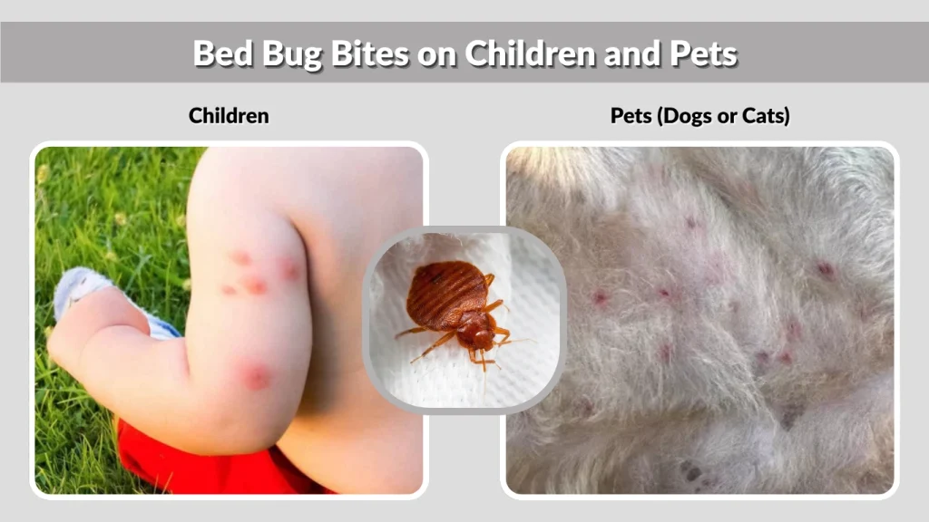Bed Bug Bites on Children and Pets