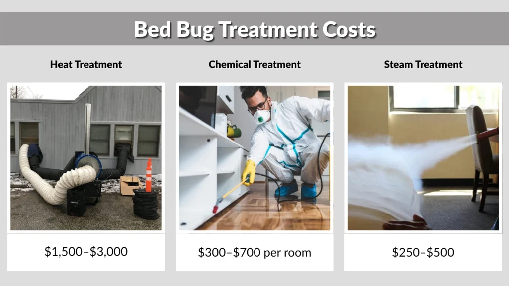 Bed Bug Treatment Costs