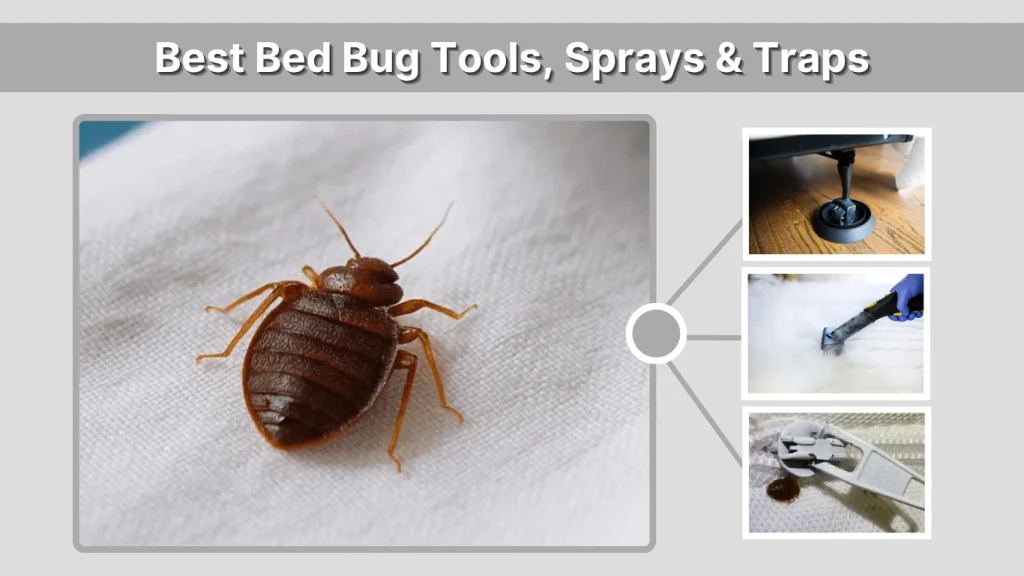 Best Bed Bug Tools, Sprays & Traps