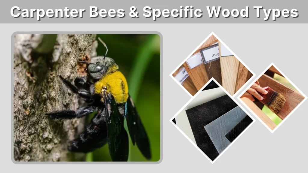 Carpenter Bees & Specific Wood Types
