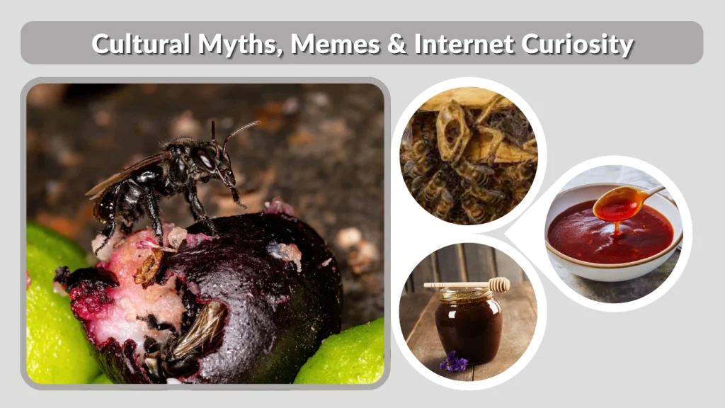 Cultural Myths, Memes & Internet Curiosity