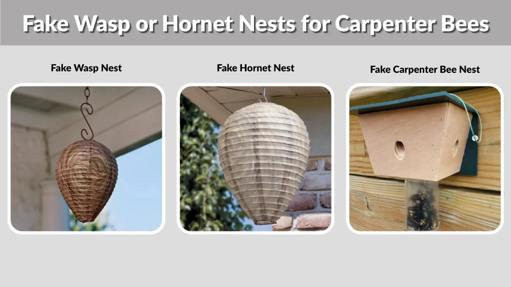 Fake Wasp or Hornet Nests for Carpenter Bees