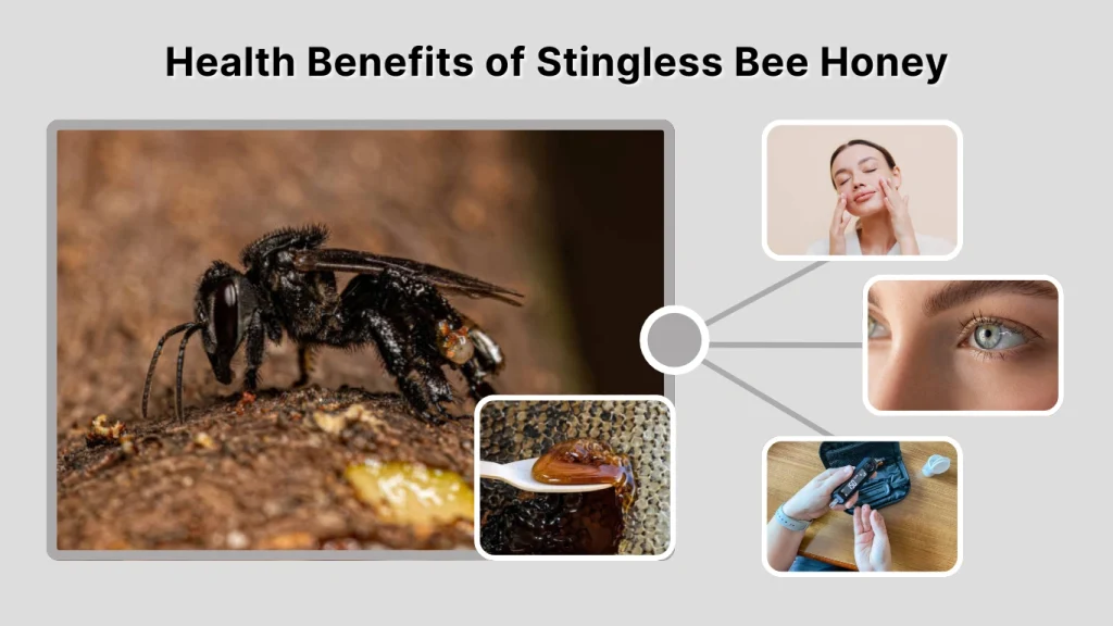 Health Benefits of Stingless Bee Honey
