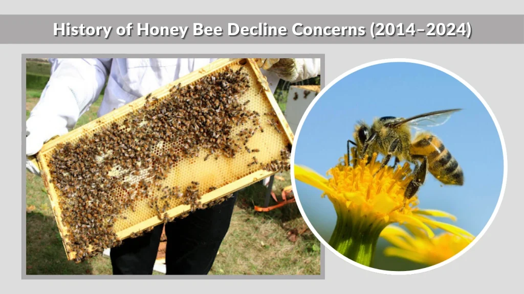 History of Honey Bee Decline Concerns (2014–2024)