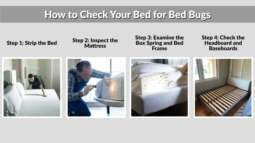 How to Check Your Bed for Bed Bugs