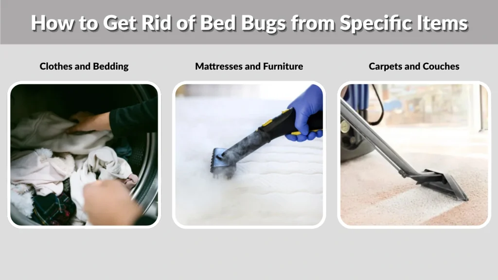 How to Get Rid of Bed Bugs from Specific Items