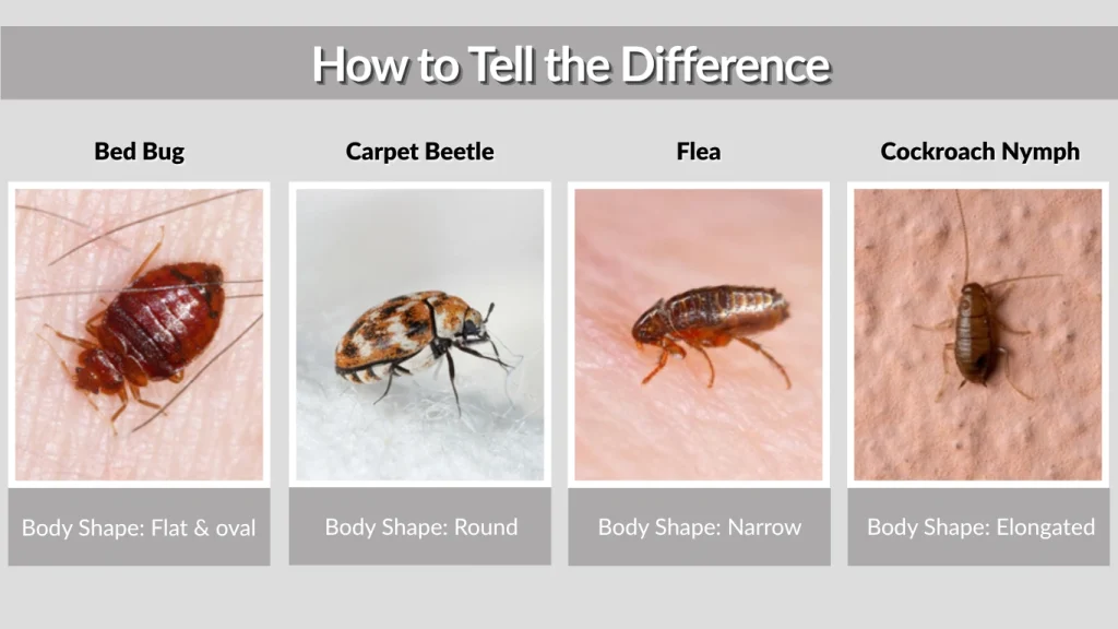 How to Tell the Difference