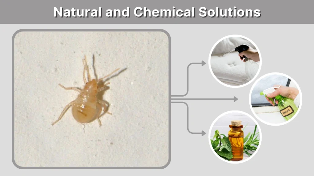Natural and Chemical Solutions