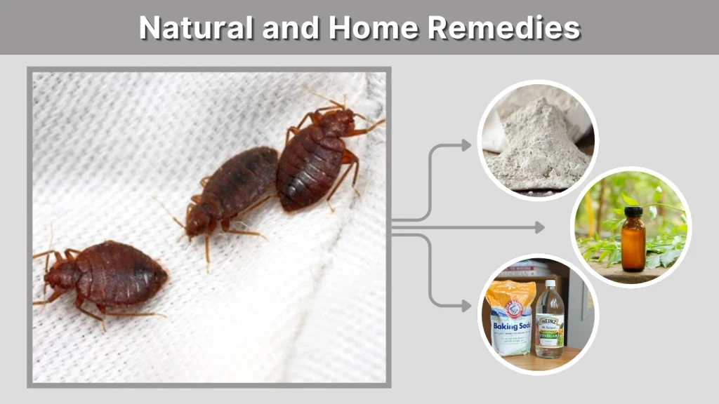 Natural and Home Remedies