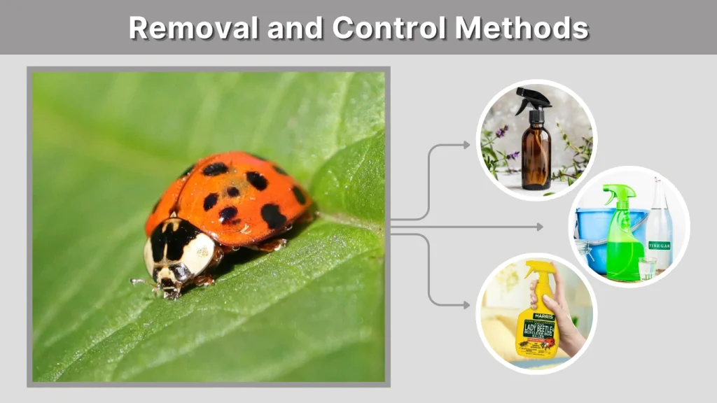 Removal and Control Methods