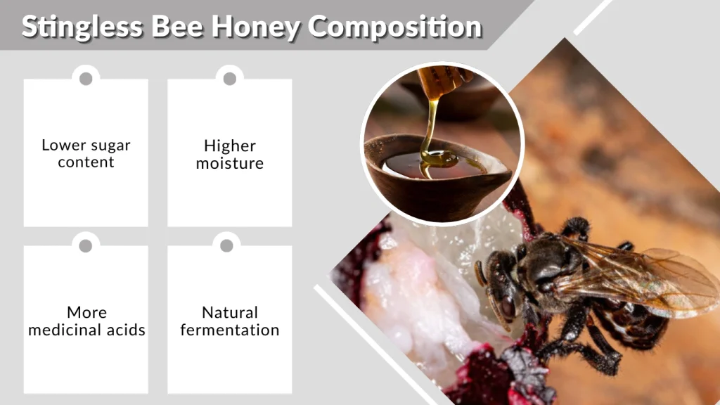 Stingless Bee Honey Composition