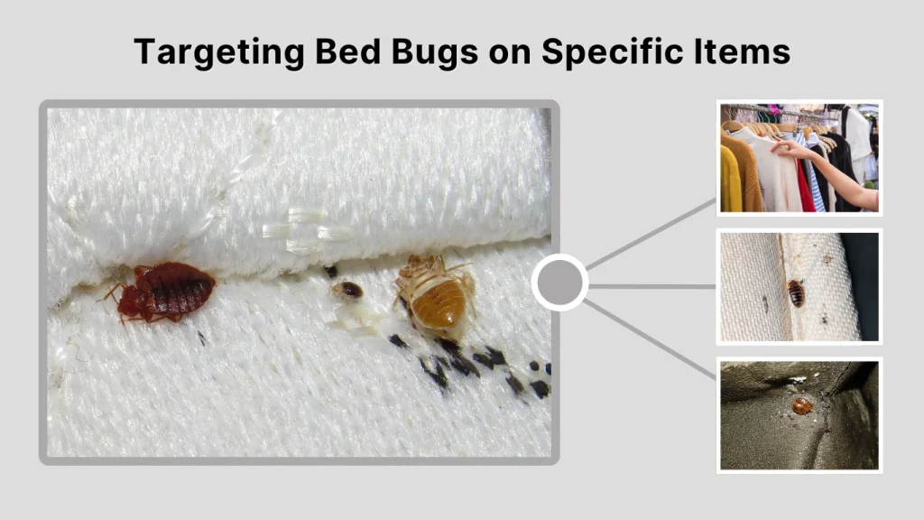 Targeting Bed Bugs on Specific Items