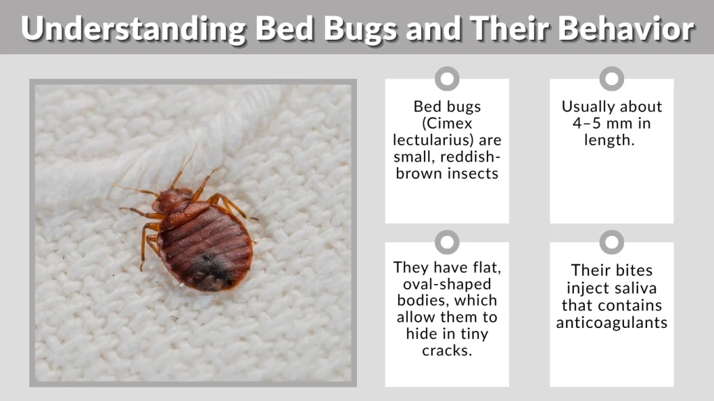 Understanding Bed Bugs and Their Behavior
