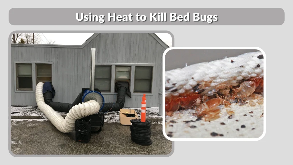 Using Heat to Kill Bed Bugs