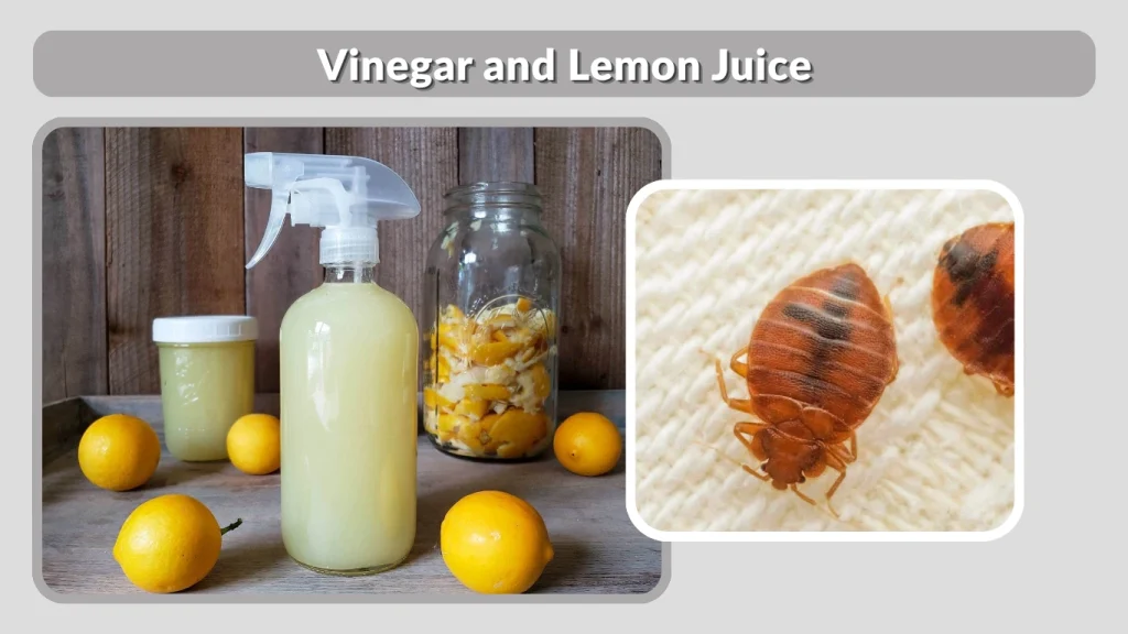 Vinegar and Lemon Juice
