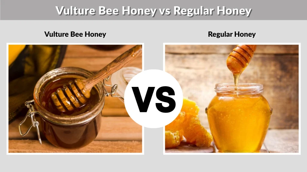 Vulture Bee Honey vs Regular Honey