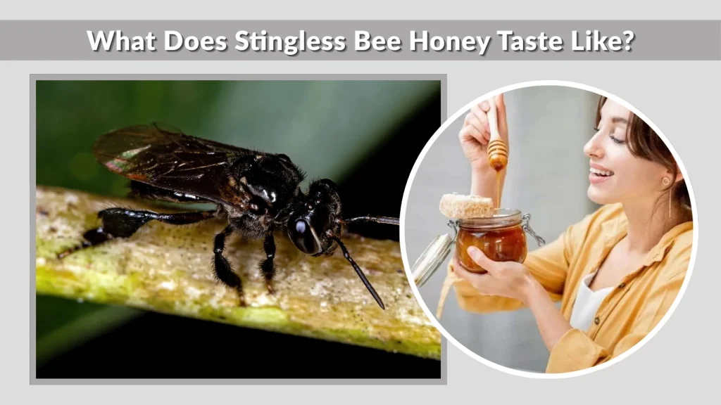 What Does Stingless Bee Honey Taste Like