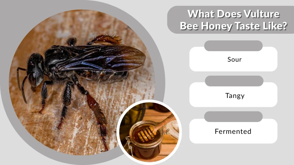 What Does Vulture Bee Honey Taste Like