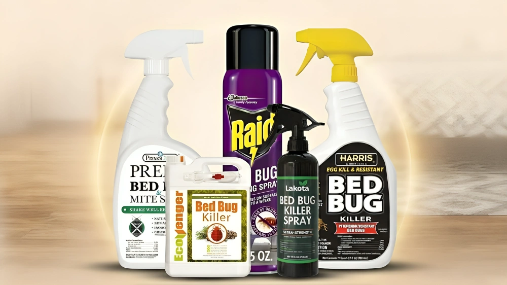 10 Best Bed Bug Killer Spray Acculay That Work Top Picks