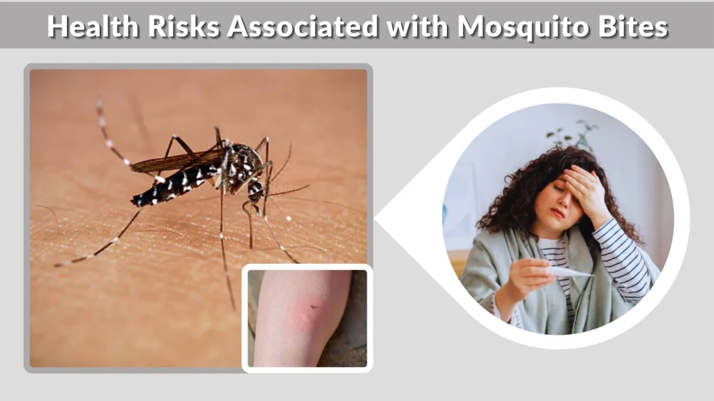 Health Risks Associated with Mosquito Bites