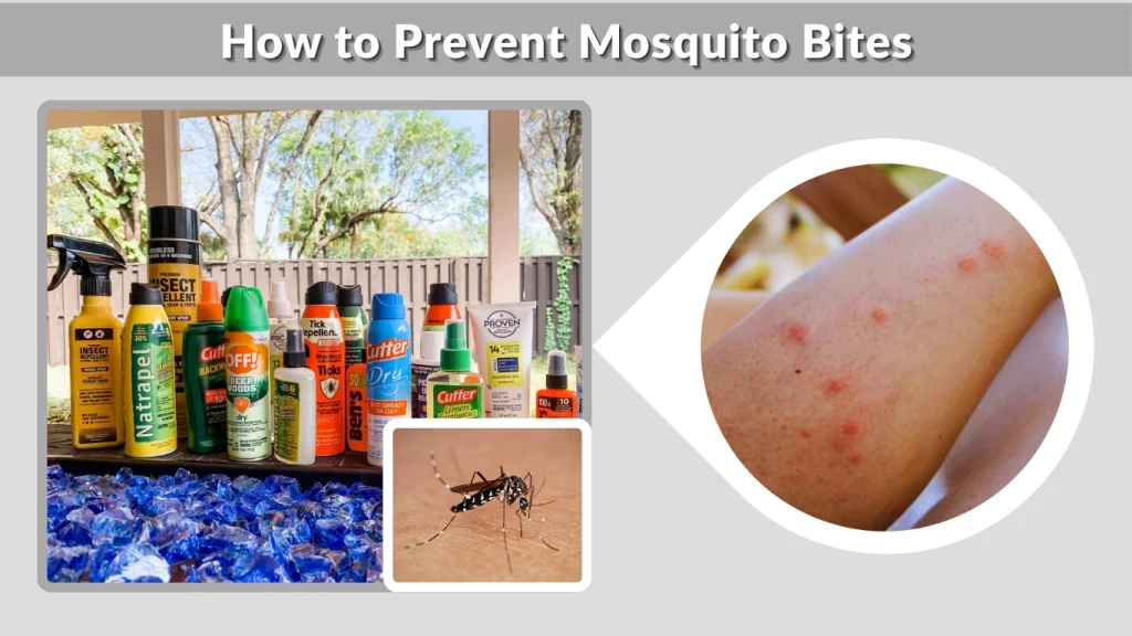How to Prevent Mosquito Bites