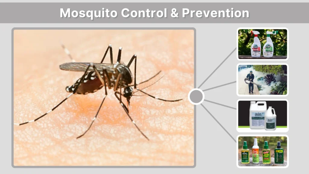 Mosquito Control & Prevention