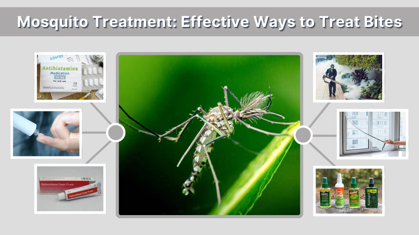 Mosquito Treatment Effective Ways to Treat Bites & Control Mosquitoes