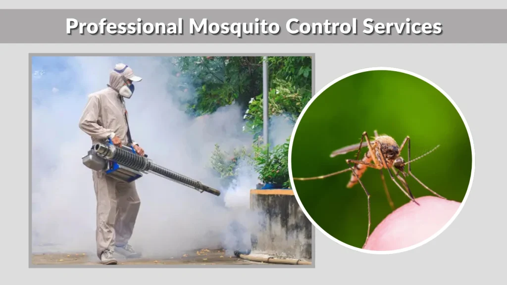 Professional Mosquito Control Services
