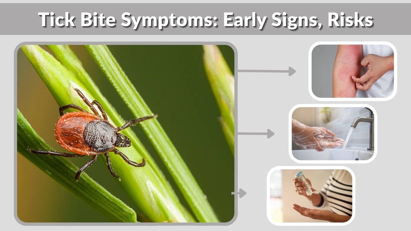 Tick Bite Symptoms: Early Signs, Risks, and Treatment