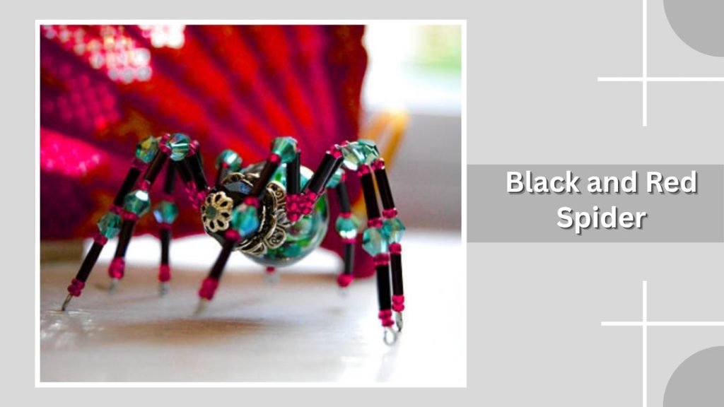 Black and Red Spider