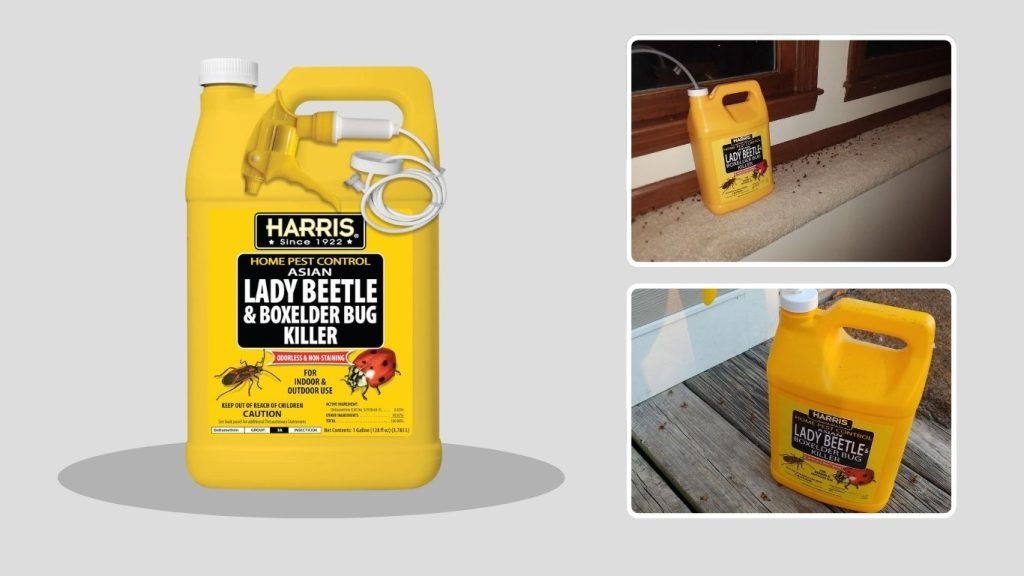Harris Japanese Beetle Killer Spray