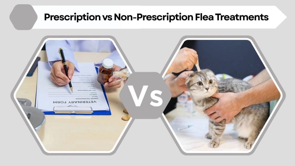 Prescription vs Non-Prescription Flea Treatments