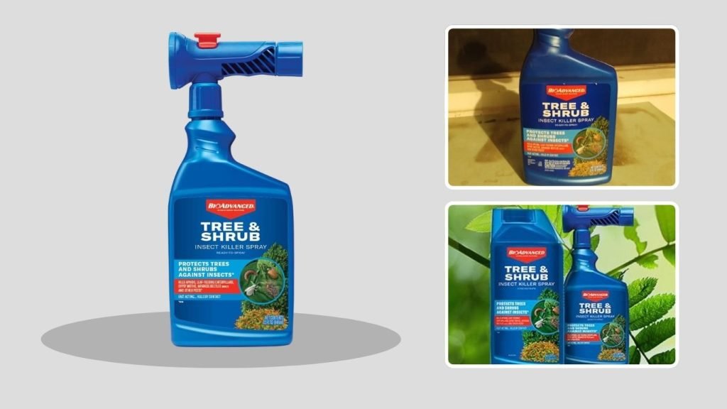 BioAdvanced 3-in-1 Insect, Disease & Mite Control Spray