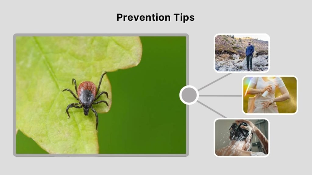 Prevention Tips
