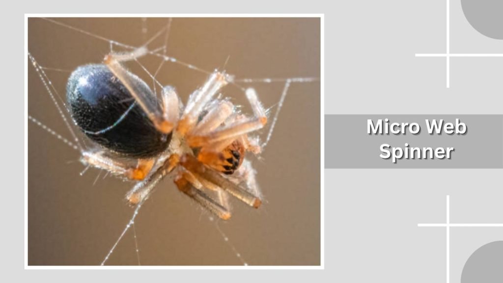  Micro Web Spinner