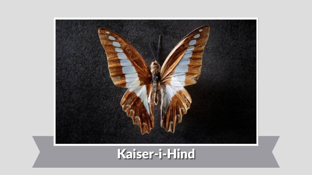  Kaiser-i-Hind